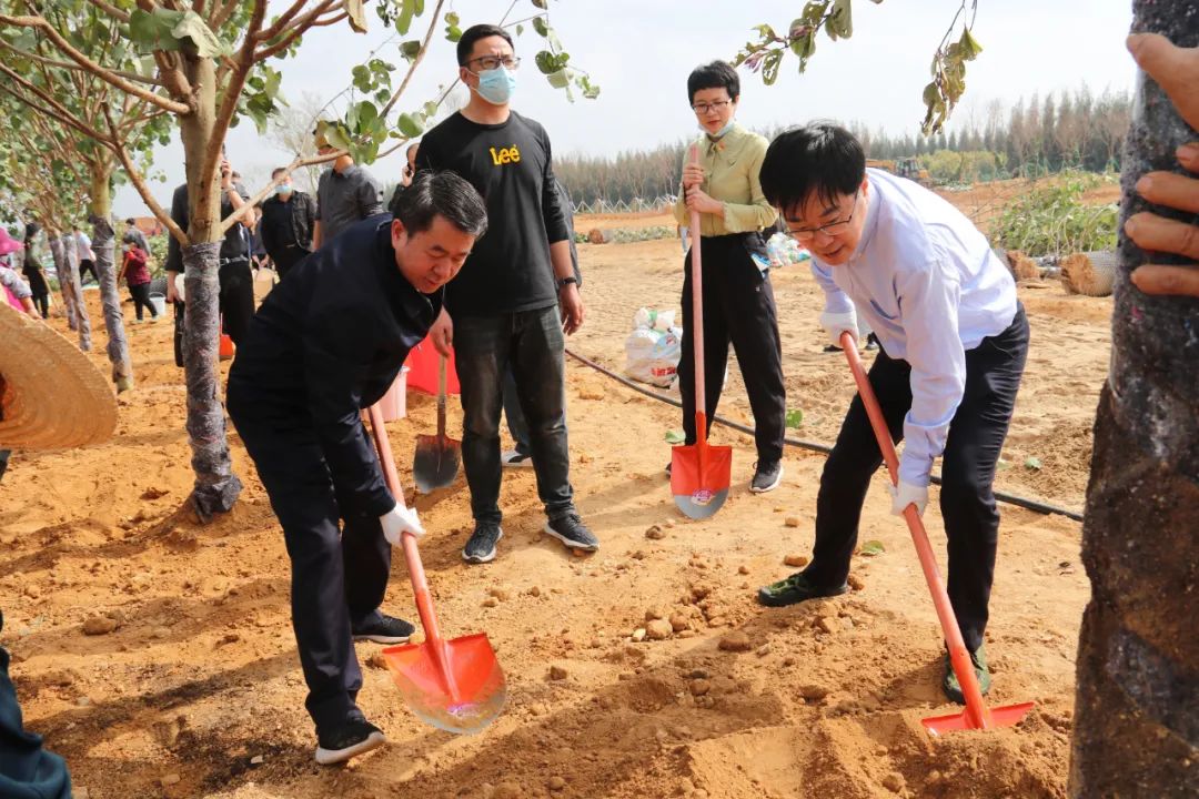 第三个“一百米”！我区开展沿海防护林植树活动