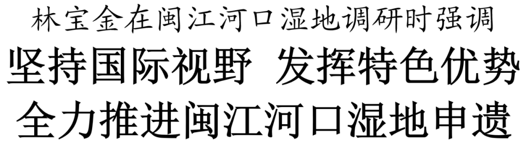 全力推进闽江河口湿地申遗！福州市委书记林宝金现场调研