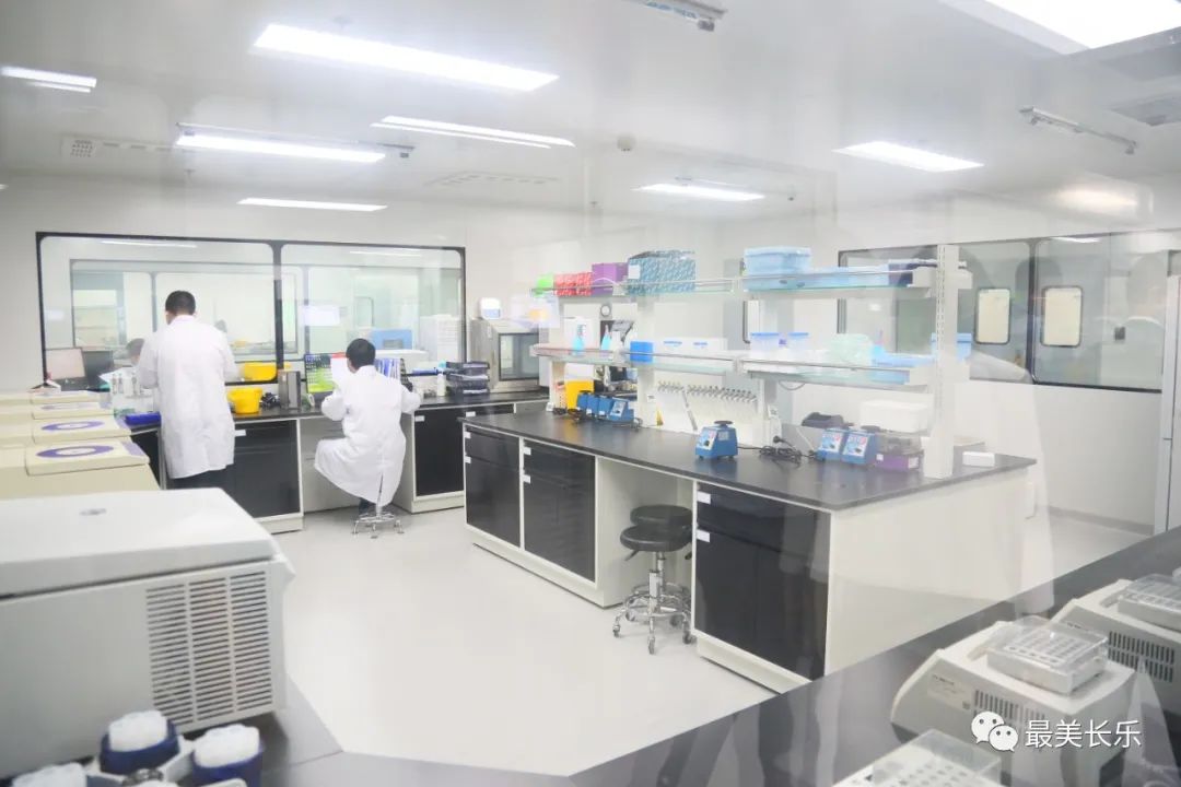 产业之花绚丽绽放！核心密码就在这……