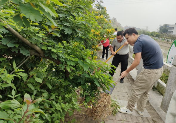 水更清，景更美！长乐加快全域水系综合治理，做活“水文章”！