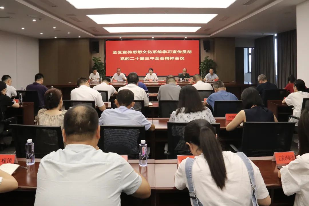 全区宣传思想文化系统学习宣传贯彻党的二十届三中全会精神会议召开