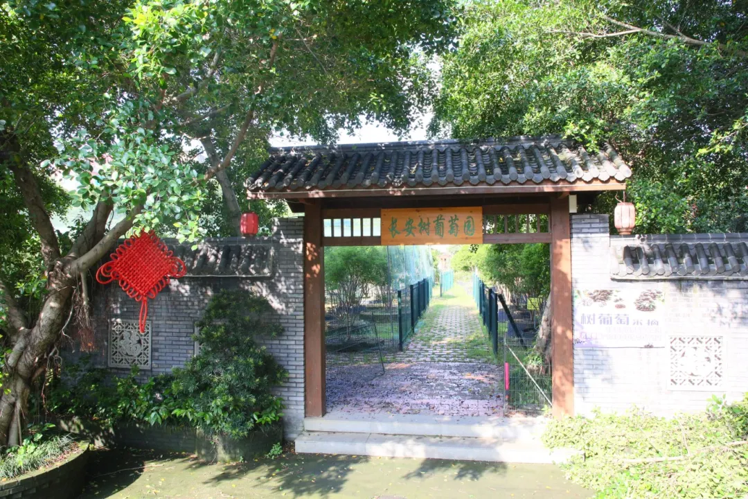 全国推介!祝贺福州新区(长乐区)这个村! 全国推介!祝贺福州新区(长乐区)这个村!