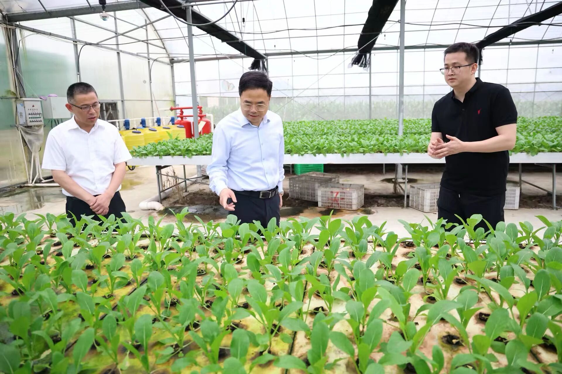 胡旭彬赴古槐镇调研并指导推动树立和践行正确政绩观学习教育